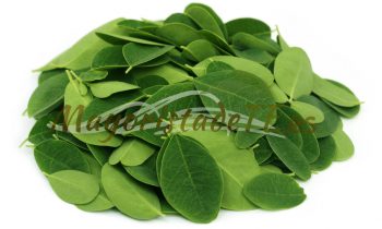 Tés con Moringa